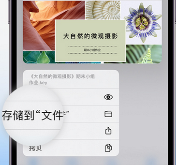 连南apple维修中心分享iPhone文件应用中存储和找到下载文件