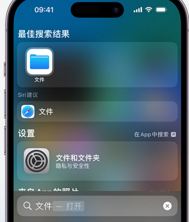 连南apple维修中心分享iPhone文件应用中存储和找到下载文件 