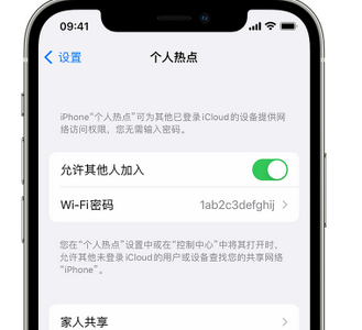 连南apple服务站点分享iPhone上个人热点丢失了怎么办 