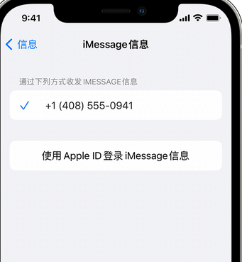 连南apple维修iPhone上无法正常发送iMessage信息 