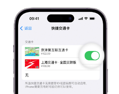 连南apple维修点分享iPhone上更换Apple Pay快捷交通卡手绘卡面 