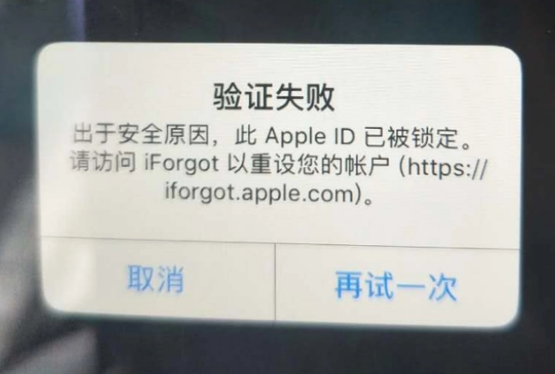 连南iPhone维修分享iPhone上正常登录或使用AppleID怎么办 