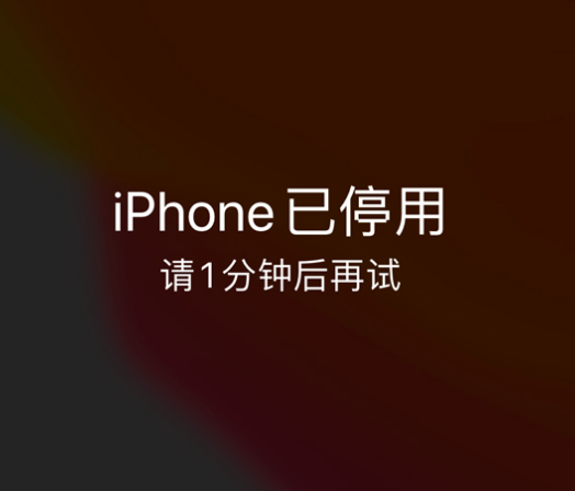 连南苹果手机维修分享:iPhone 显示“不可用”或“已停用”怎么办？还能保留数据吗？ 