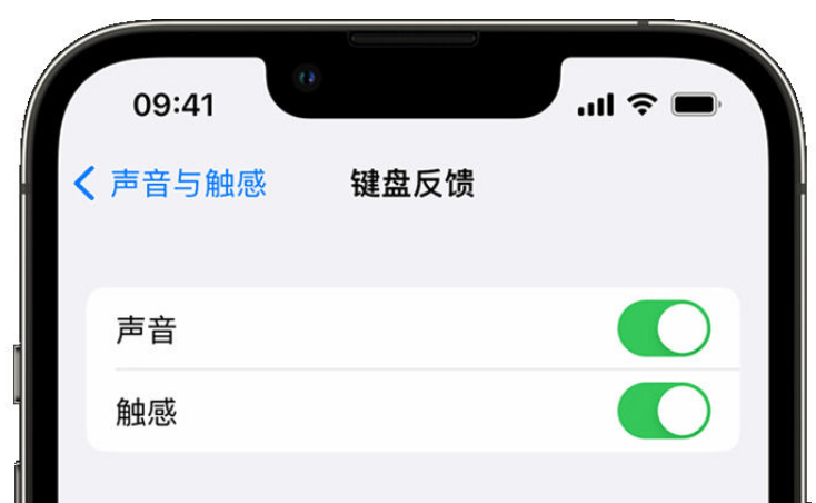 连南苹果手机维修分享iPhone 14触感键盘使用方法 