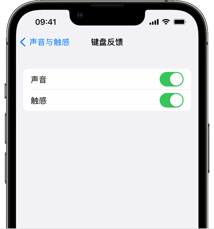 连南苹果14维修店分享如何在 iPhone 14 机型中使用触感键盘 