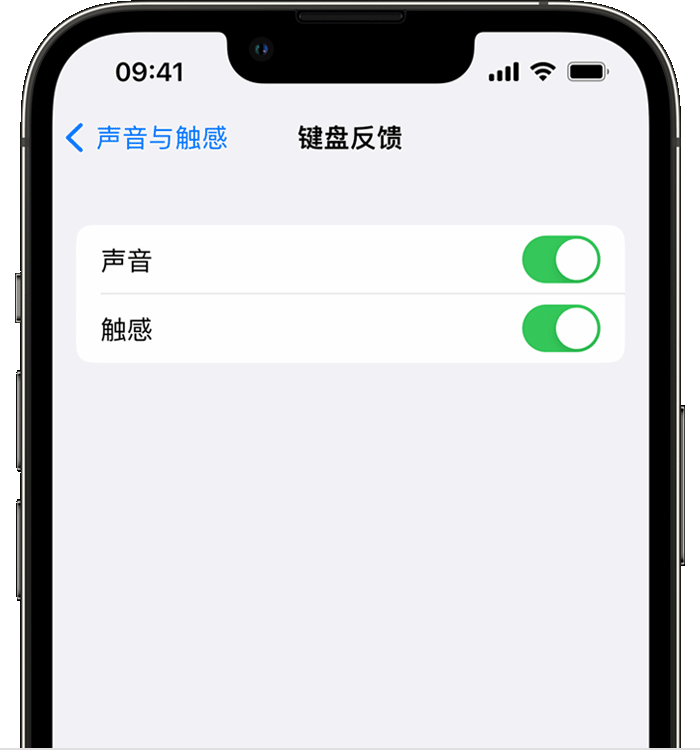 连南苹果14维修分享iPhone 14 系列机型如何开启键盘声音或触感反馈 