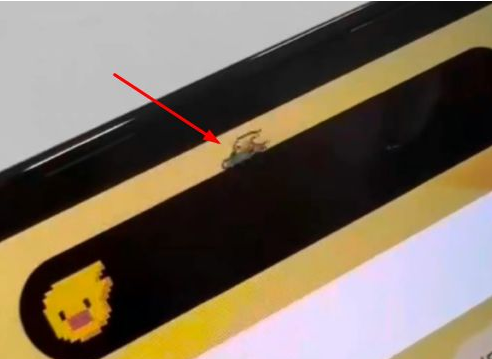 连南苹果14维修分享iPhone 14 Pro Max灵动岛怎么养宠物 