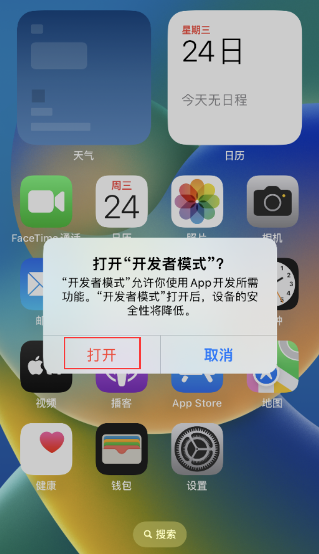 连南苹果手机维修分享如何打开开发者模式 