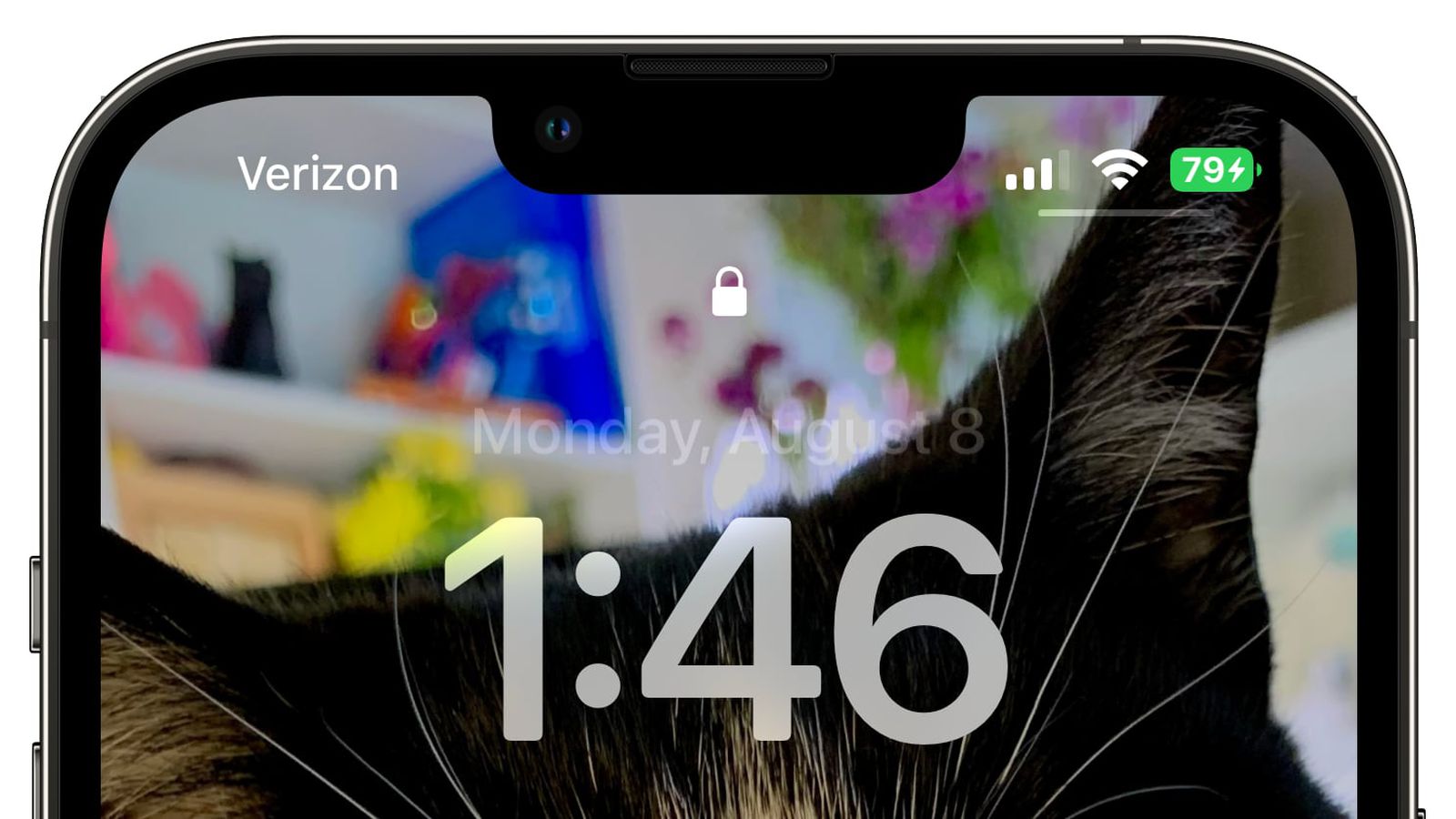 连南苹果手机维修分享iOS 16 beta 5 支持状态栏显示电池百分比，如何开启？支持哪些机型 