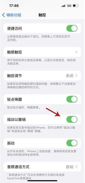 连南苹果手机维修分享iPhone手机如何设置摇一摇删除文字 