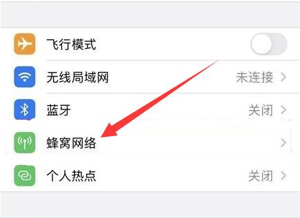 连南苹果手机维修分享iPhone手机4G网络怎么设置成5G网络 