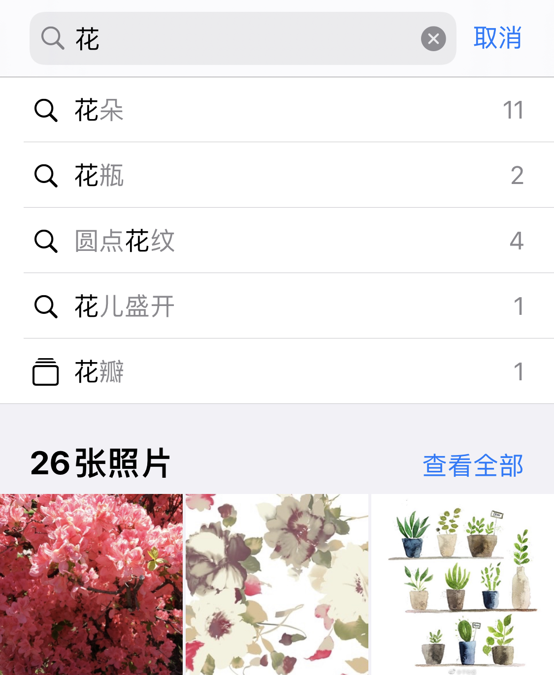 连南苹果手机维修分享iPhone 小技巧 