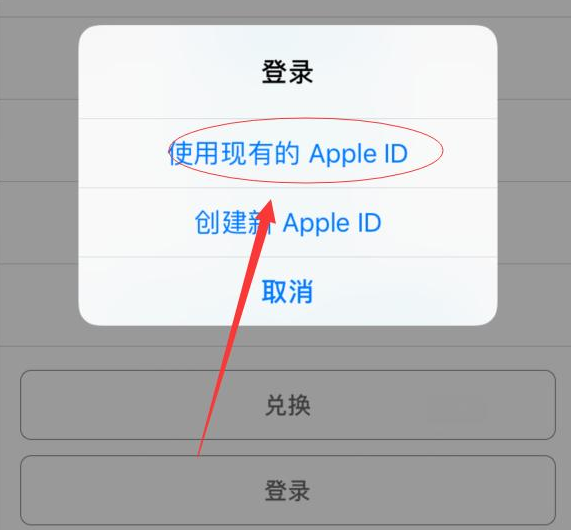 连南苹果手机维修分享两台iPhone设备可以同时登录一个Apple ID吗 