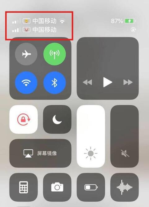 连南苹果手机维修分享为 iPhone 12 双卡设置标签 